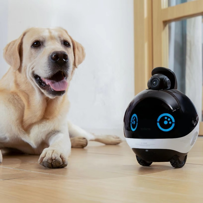 Interactive Cat Toy - スマートファミリーロボット HDモニタリング リアルタイムインタラクション 猫用カメラ ペットのおもちゃと用品