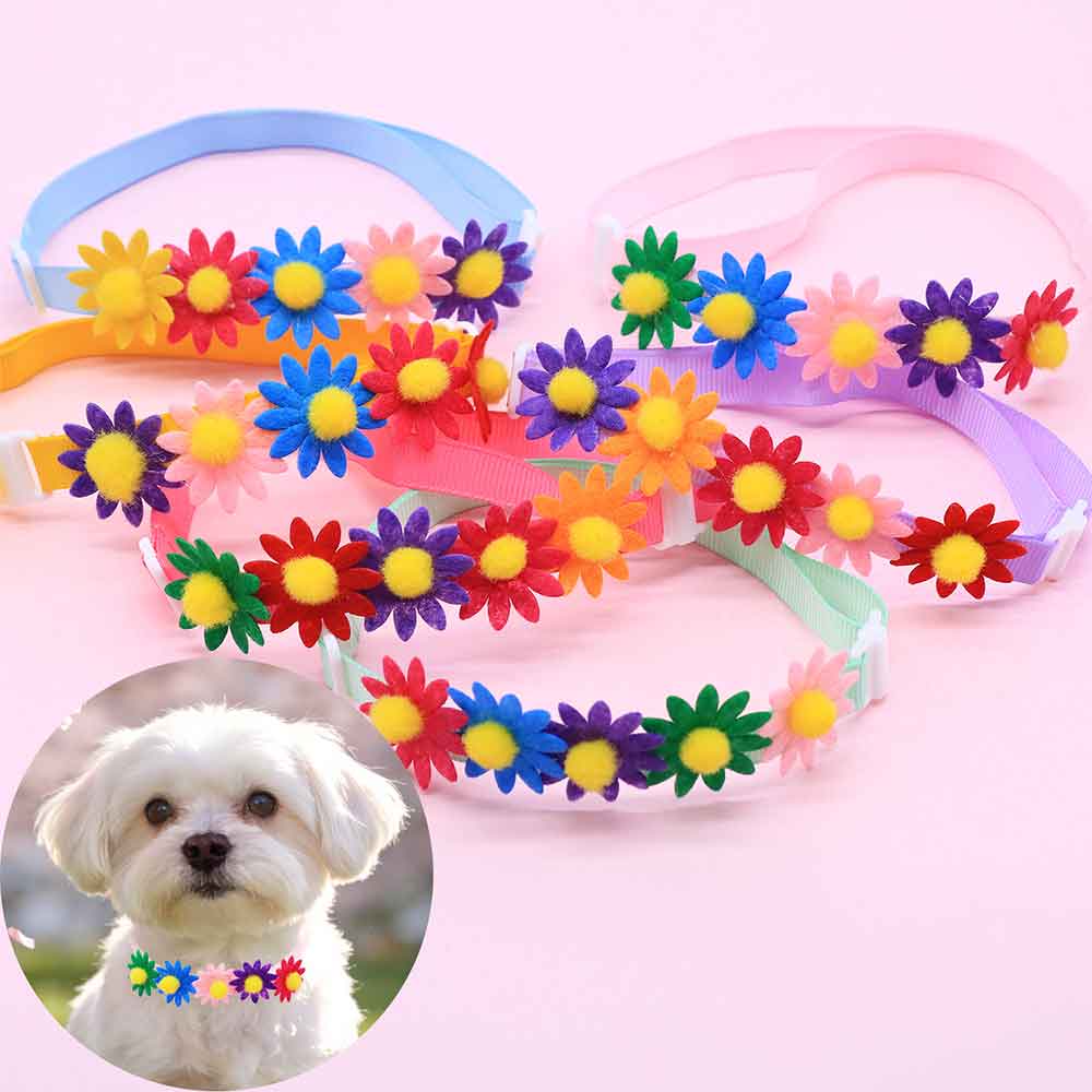 50 個のカラフルな犬の蝶ネクタイ花のアクセサリー小型犬用蝶 - Pet Supplies Co のレビューと価格