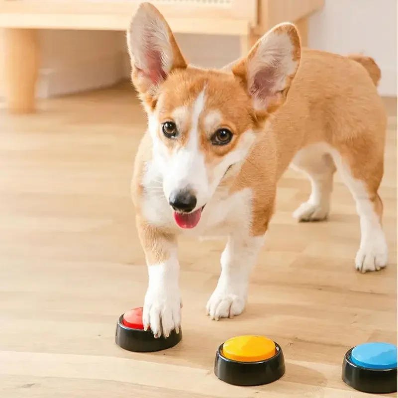 ペットサウンドボックス録音可能なトーキングボタン猫ボイスレコ - Interactive Cat Toy のレビューと価格