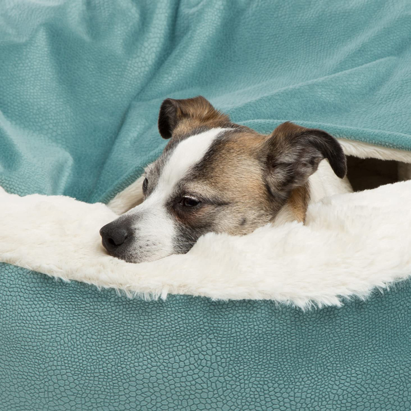 Benepaw 整形外科犬ベッド フード付きブランケット付き - Calming Dog Bed のレビューと価格