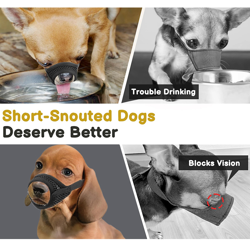 短い鼻の小型犬や中型犬用のメッシュマズル、噛みつき防止、チワ - Pet Supplies Co のレビューと価格