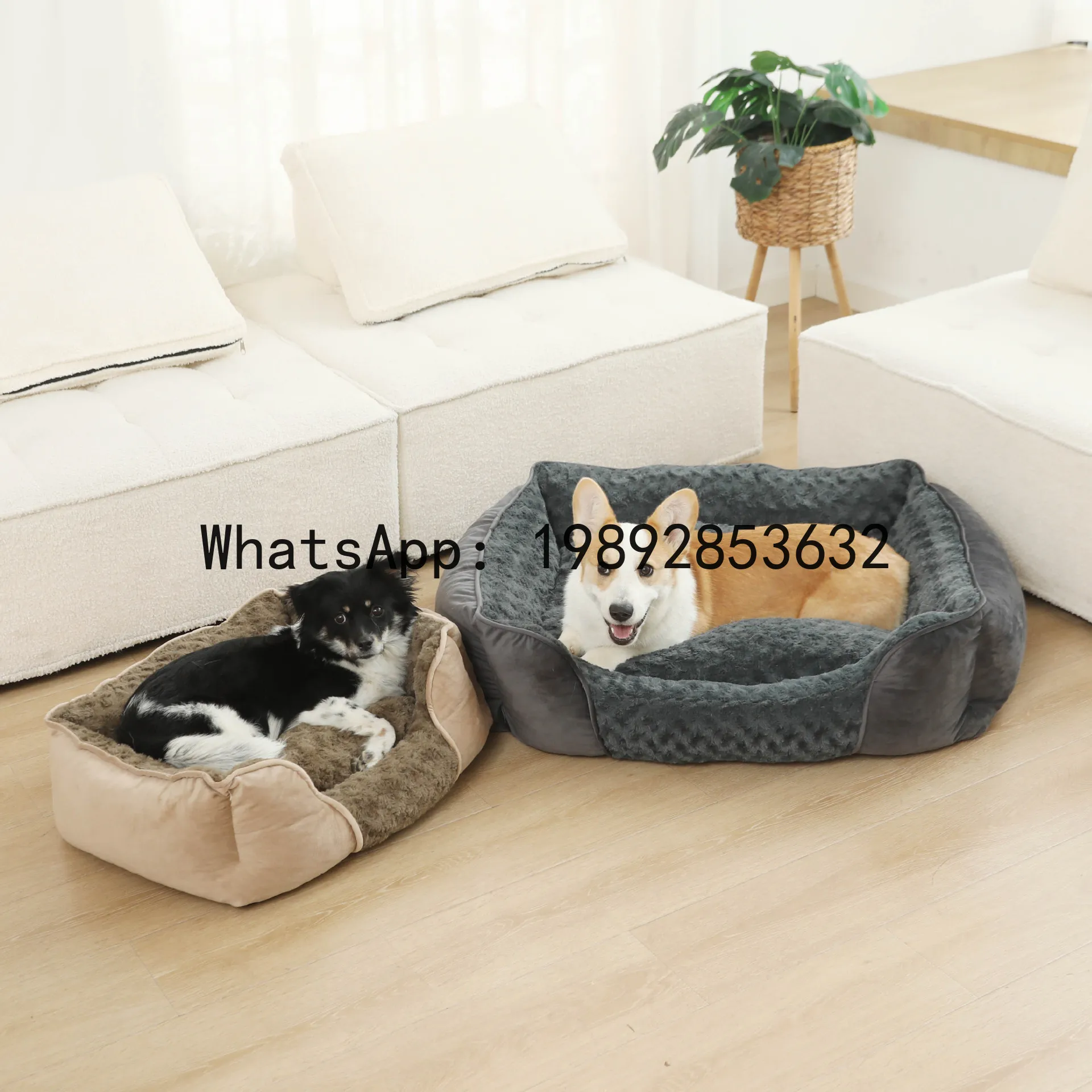 Xキャットハウス半密閉型犬小屋オールシーズンペット用品 - Pet X Supplies & Tack のレビューと価格