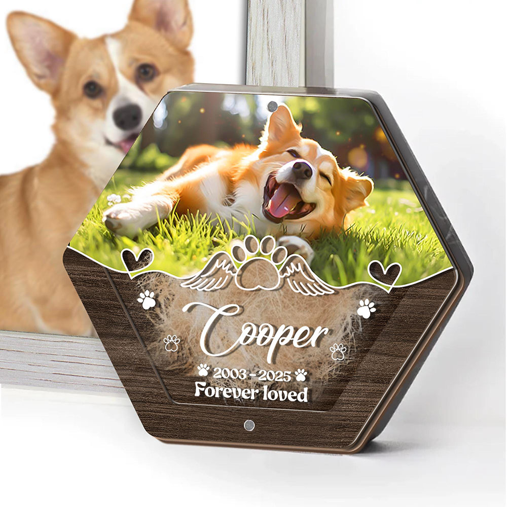 パーソナライズネーム木製彫刻ペットヘア収納ボックスペット用品 - Pet Supplies Store のレビューと価格