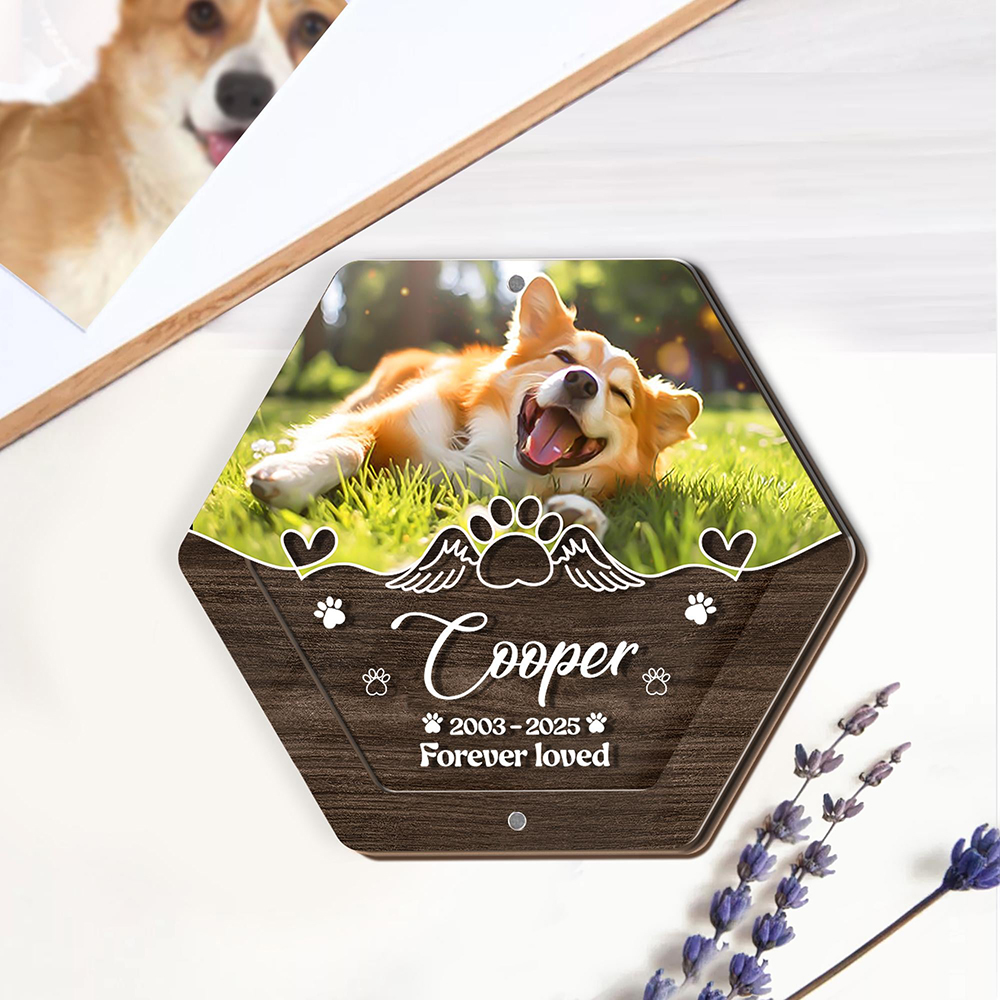 パーソナライズネーム木製彫刻ペットヘア収納ボックスペット用品 - Pet Supplies Store のレビューと価格