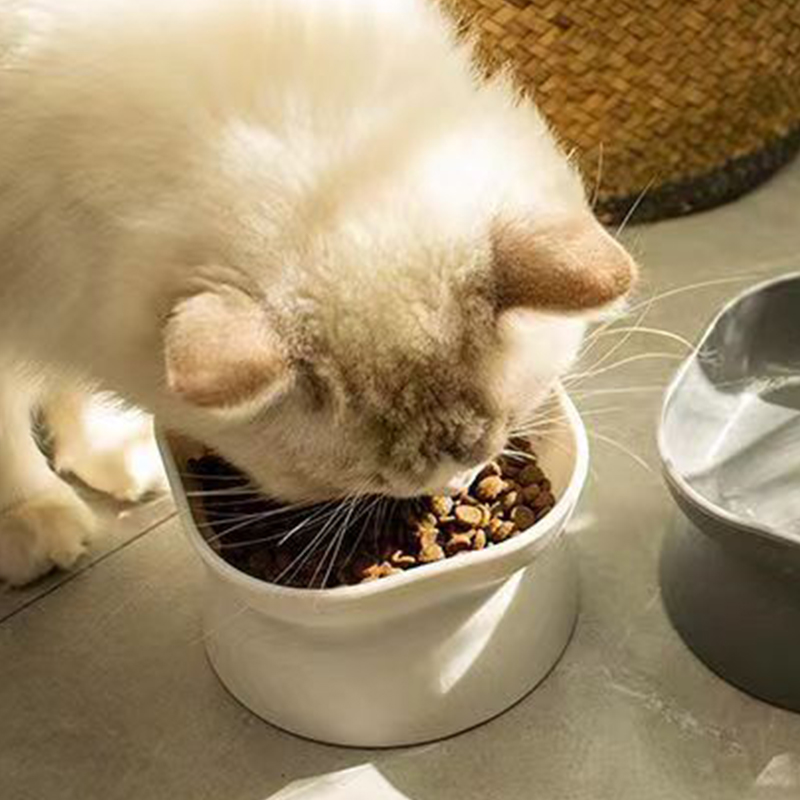 両用猫/犬フードボウル、高めの嘔吐防止猫フィーダーひげストレ - Slow Feeder Dog Bowl のレビューと価格
