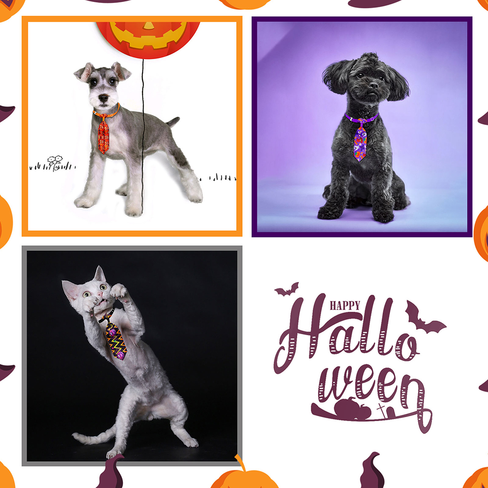50/100個ハロウィン犬グルーミング用品頭蓋骨小型犬ネクタ - Pet Supplies Co のレビューと価格