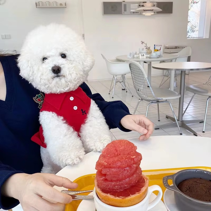 新しいペット犬用ポロシャツ、犬用クールな服、柔らかく通気性の - Pet Supplies Co のレビューと価格