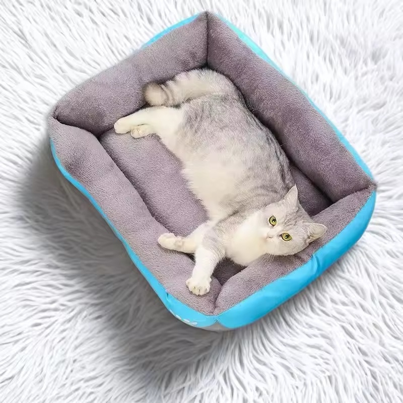小型犬や猫のための柔らかいプラッシュクッションベッド、子犬や - Calming Dog Bed のレビューと価格