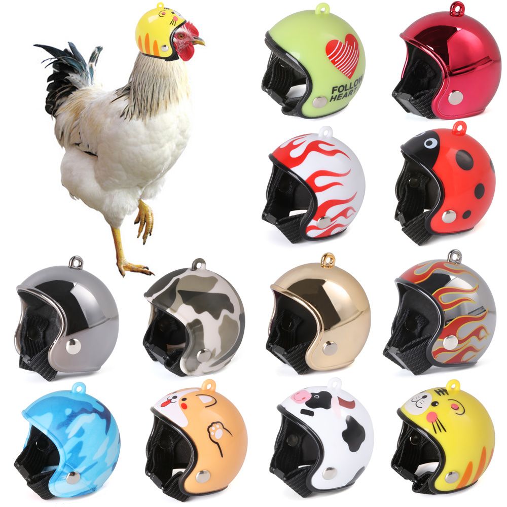 ABSペット用品 面白いペット用保護ヘッドギア 鳥用保護キャ - Pet X Supplies & Tack のレビューと価格